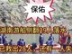 湖南游船侧翻29人落水 已救出28人