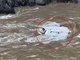 3对母女包车坠河 已确认5人身亡
